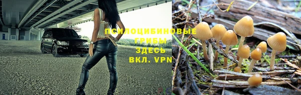 2c-b Медногорск