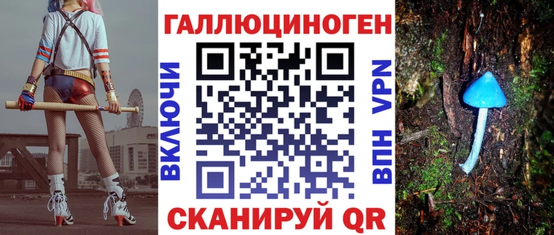 хочу   Нерюнгри  Галлюциногенные грибы Psilocybine cubensis 