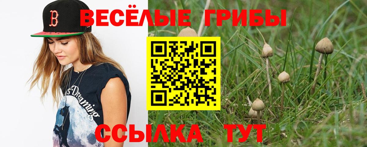 Галлюциногенные грибы мухоморы  Вход с VPN  Галлюциногенные грибы прущие грибы  где купить   Нерюнгри 